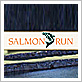 Salmon Run Golf Course - Brookings